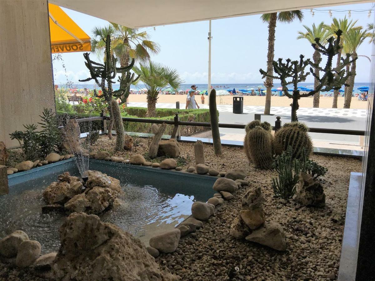 Primera Linea Playa Levante Benidorm Dış mekan fotoğraf